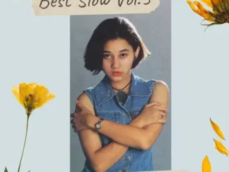 Album: Nike Ardilla - Best Slow Nie Ardilla Vol 3 Best Slow Nie Ardilla Vol 3
