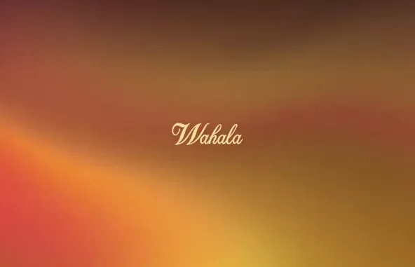 CKay Wahala (feat. Olamide) CKay Wahala (feat. Olamide)