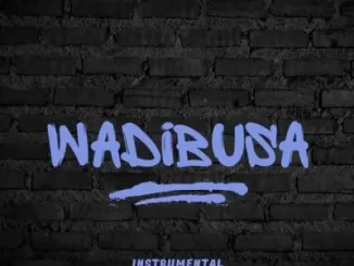 DJ KERV - Wadibusa Uncle Waffles DJ KERV – Wadibusa Uncle Waffles