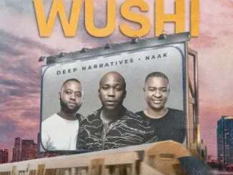 Deep Naratives & Naak - Wushi Deep Naratives & Naak – Wushi