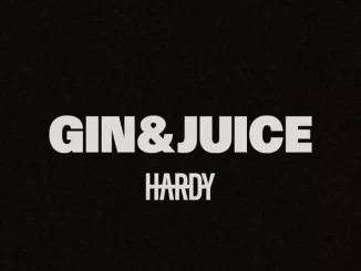 HARDY - Gin & Juice HARDY Gin & Juice