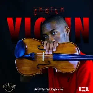 Mali B flat – Indian Violin Mali B flat – Indian Violin