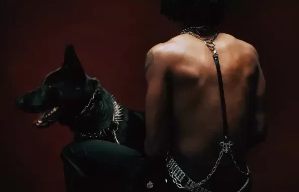 My Gift To You My Gift To You