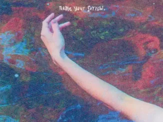 Album: Pillow Queens - Name Your Sorrow Name Your Sorrow