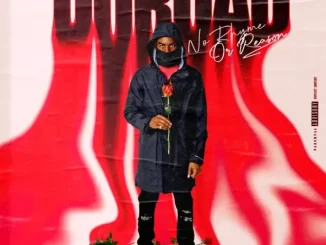 Album: DoRoad - No Rhyme Or Reason No Rhyme Or Reason