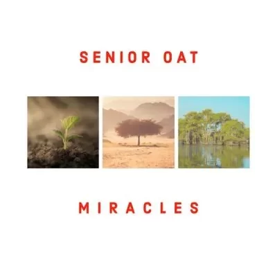 Senior Oat - The Only One ft Saltie Senior Oat - The Only One ft Saltie
