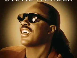 Album: Stevie Wonder - The Definitive Collection Stevie Wonder The Definitive Collection