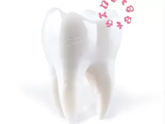 Album: Porij - Teething Teething