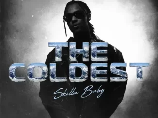 Album: Skilla Baby - The Coldest The Coldest