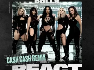 The Pussycat Dolls - React (Cash Cash Remix) The Pussycat Dolls React (Cash Cash Remix