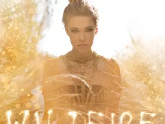 Album: Rachel Platten - Wildfire Wildfire