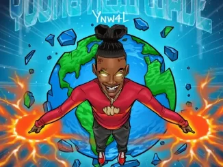 Album: YNW Melly - Young New Wave Young New Wave
