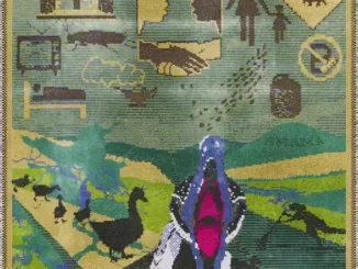 Album: Crumb - AMAMA AMAMA