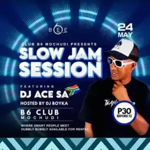 DJ Ace – Peace of Mind Vol 85 (Slow Jam Mix) DJ Ace – Peace of Mind Vol 85 (Slow Jam Mix)