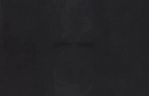 Dark Times Dark Times