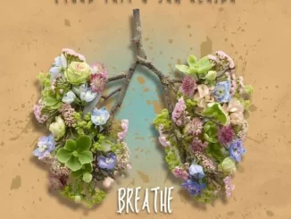Ethan Tait, Sam Alaina - Breathe (Shredder SA Remix) Ethan Tait, Sam Alaina - Breathe (Ed-Ward Remix)