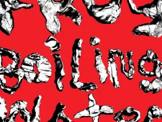 Album: DIIV - Frog In Boiling Water Frog In Boiling Water