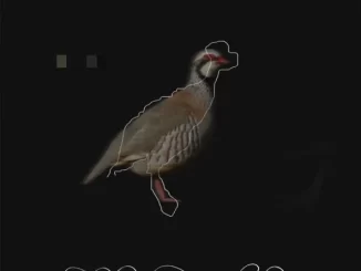 EP: Black Noi$e & Valee - Partridge Partridge