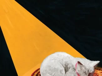 Album: Joywave - Permanent Pleasure Permanent Pleasure