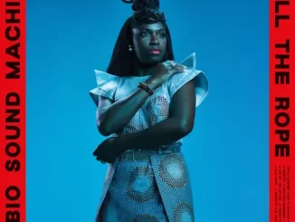 Album: Ibibio Sound Machine - Pull the Rope Pull the Rope