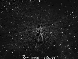 Album: ZAYN - ROOM UNDER THE STAIRS (Z SIDES) ROOM UNDER THE STAIRS (Z SIDES)