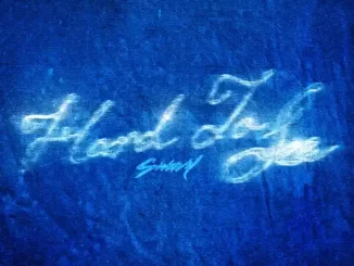 Swavy - Hard To See Swavy Hard To See