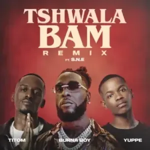 TitoM, Yuppe & Burna Boy – Tshwala Bam (Remix) ft S.N.E TitoM, Yuppe & Burna Boy – Tshwala Bam (Remix) ft S.N.E