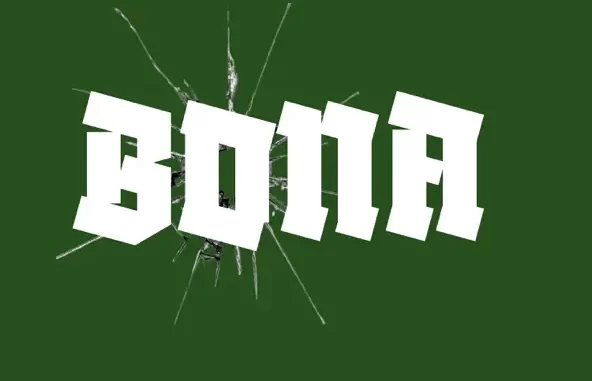 ZiwaBeatz, Leemckrazy & Dlala Thukzin Bona ZiwaBeatz, Leemckrazy & Dlala Thukzin Bona
