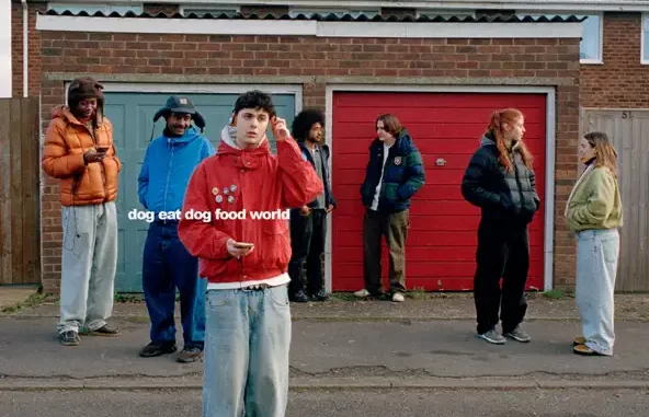 dog eat dog food world dog eat dog food world