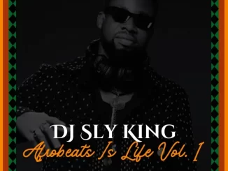 DJ Sly King - Afrobeats Is Life Vol. 1 DJ Sly King – Afrobeats Is Life Vol. 1
