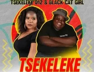 Dr Malinga - Tsekeleke Ft. Tsekeleke 012 & Black Cat Girl Dr Malinga – Tsekeleke Ft. Tsekeleke 012 & Black Cat Girl