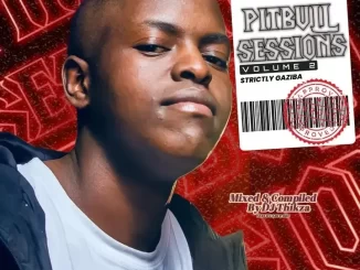 Gaziba - Pitbull Sessions Vol 2 Gaziba – Pitbull Sessions Vol 2