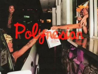 Smino - Polynesian Smino Polynesian