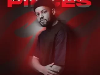 Album: Tebza De SouL - Pieces Tebza De SouL – Pieces