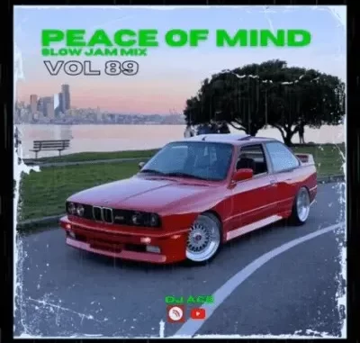 DJ Ace – Peace of Mind Vol 89 (28 July 2024 Slow Jam Mix) DJ Ace – Peace of Mind Vol 89 (28 July 2024 Slow Jam Mix)
