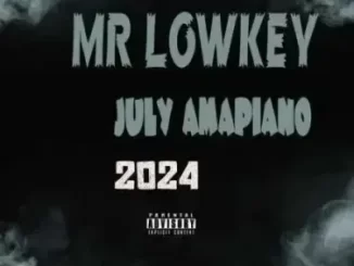 Mr Lowkey - July 2024 Amapiano Mix Mr Lowkey – July 2024 Amapiano Mix