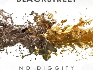 Blackstreet - No Diggity (Re-Recorded - Slowed + Reverb) No Diggity (Re Recorded Sped Up)