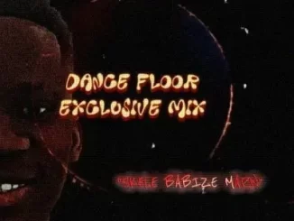 Skele 03 - Dance Floor Exclusive Mix Skele 03 – Dance Floor Exclusive Mix