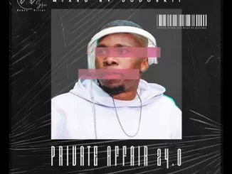 Dodoskii - Private Affair 24.0 Mix Dodoskii – Private Affair 24.0 Mix