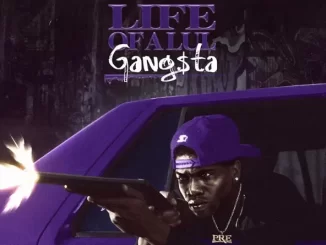 Album: Jay Fizzle - Life of a Lul Gangsta Jay Fizzle Life of a Lul Gangsta