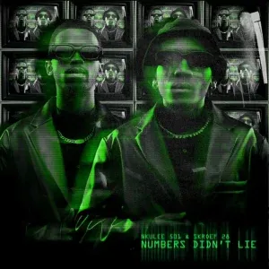 Nkulee501 & Skroef28 - Intro ft Kabza De Small Nkulee501 & Skroef28 - Intro ft Kabza De Small