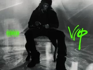 Album: PlayThatBoiZay - VIP PlayThatBoiZay VIP