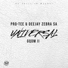 Protee & Deejay Zebra SA - All In One Protee & Deejay Zebra SA - All In One