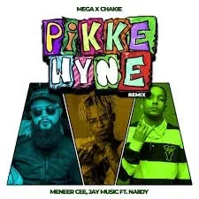 Mega x Chakie – Pikkewyne Remix ft. Meneer Cee, Jay Music & Naiidy Mega x Chakie – Pikkewyne Remix ft. Meneer Cee, Jay Music & Naiidy
