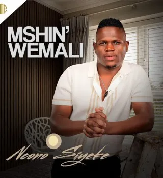 Mshinwemali - Ngena Mshinwemali - Ngena