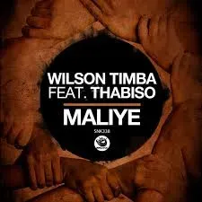 Wilson Timba - Maliye Ft. Thabiso Vocalist Wilson Timba Maliye Ft. Thabiso Vocalist