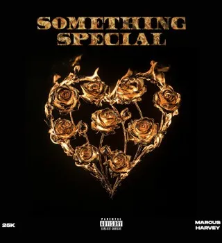 25K – Something Special Ft Marcus Harvey 25K – Something Special Ft Marcus Harvey