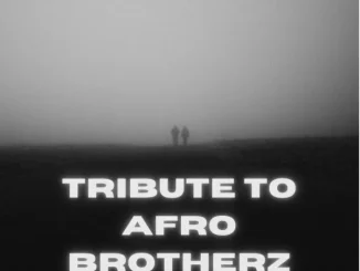 Afro Victimz - Tribute To Afro Brotherz Afro Victimz – Tribute To Afro Brotherz