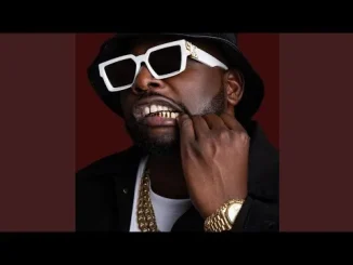 DJ Maphorisa - Love you forever feat. Mckenzie DJ Maphorisa Love you forever feat. Mckenzie