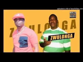 Matlou Matlou - Zwulonga Feat. DJ Takie Matlou Matlou Zwulonga Feat. DJ Takie